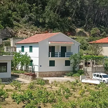 Vidoni - Roza Zastražišće